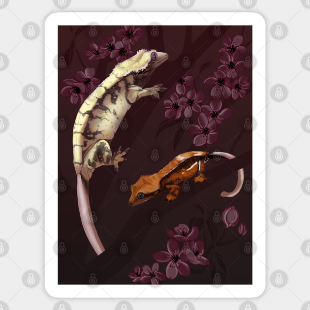 Gotham geckos sale